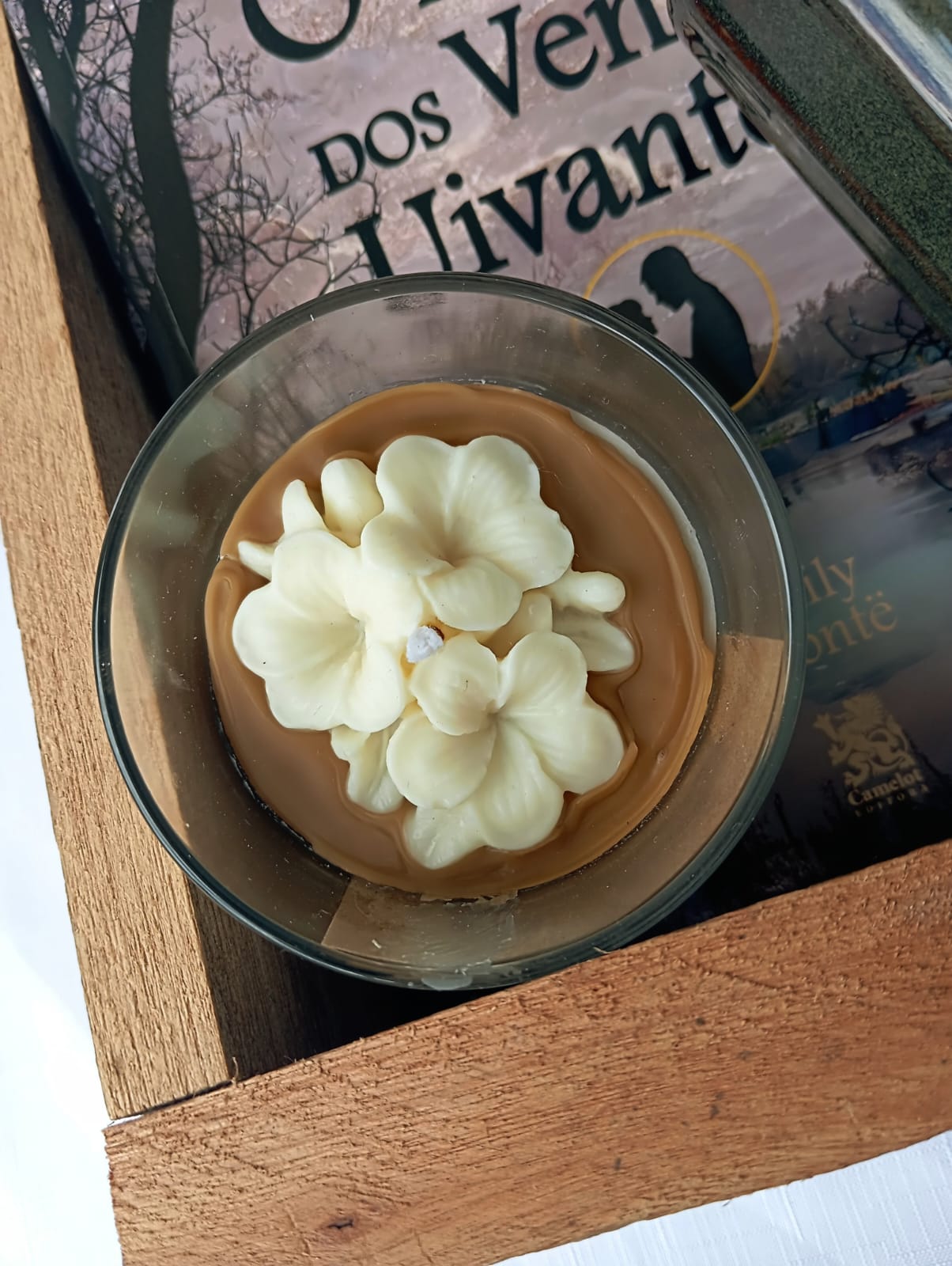 Imersão Literária: O Morro dos Ventos Uivantes & Refúgio Verde - Imagem 7